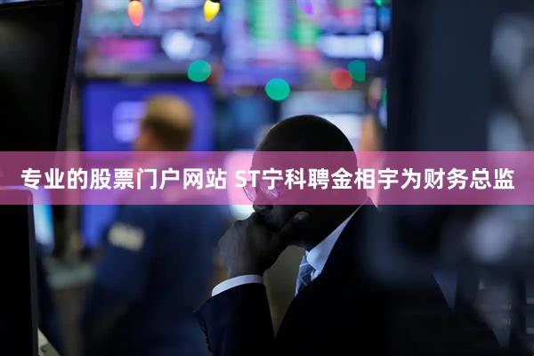 专业的股票门户网站 ST宁科聘金相宇为财务总监