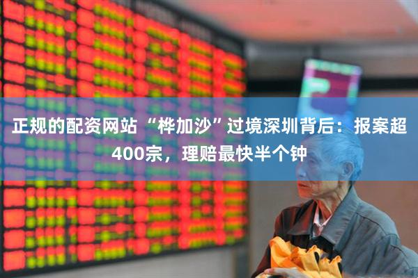 正规的配资网站 “桦加沙”过境深圳背后：报案超400宗，理赔最快半个钟
